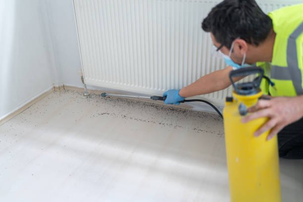 Best Best Pest Control Companies  in East Northport, NY