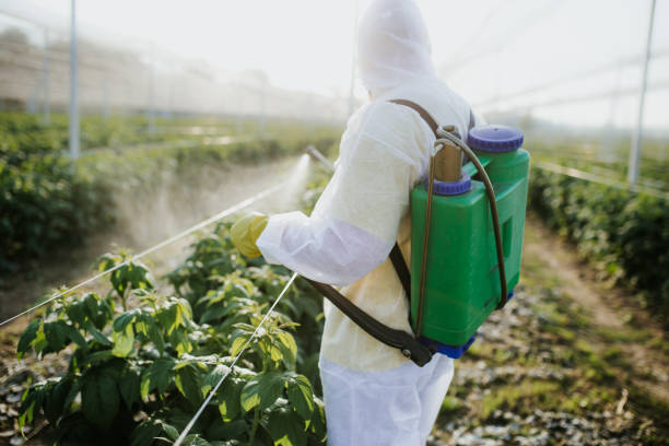 Best Bed Bug Extermination  in East Northport, NY